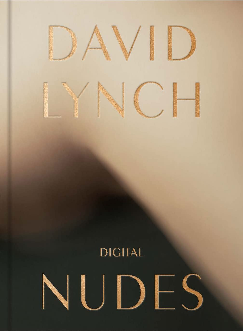 David Lynch, Digital Nudes image number 6