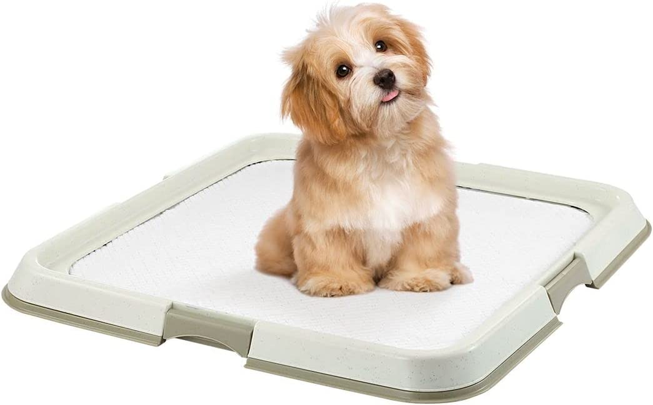 60X60Cm Pet Dog Training Pad Holder Tray Pet Pee Pads Indoor Puppy Potty Training Tray Portable Trainer