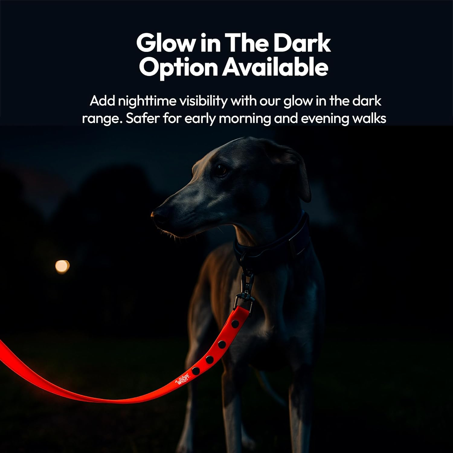 Waterproof Training Leads for Dogs & Puppies | Strong Dog Leash for Playing, Running & Walking | 6.5Ft Adjustable Long Dog Lead | Durable & Stain Resistant | Adjustable Size (Coral) image number 6