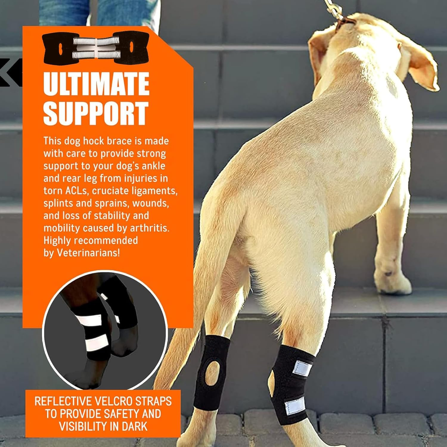 2 Pcs Dog Knee Brace for Torn ACL Hind Leg and Luxating Patella, Canine Rear Hock Joint Support, Joint Injury and Sprain Protection, Removable Design，Pet Joint Protection Cover. (S) image number 1