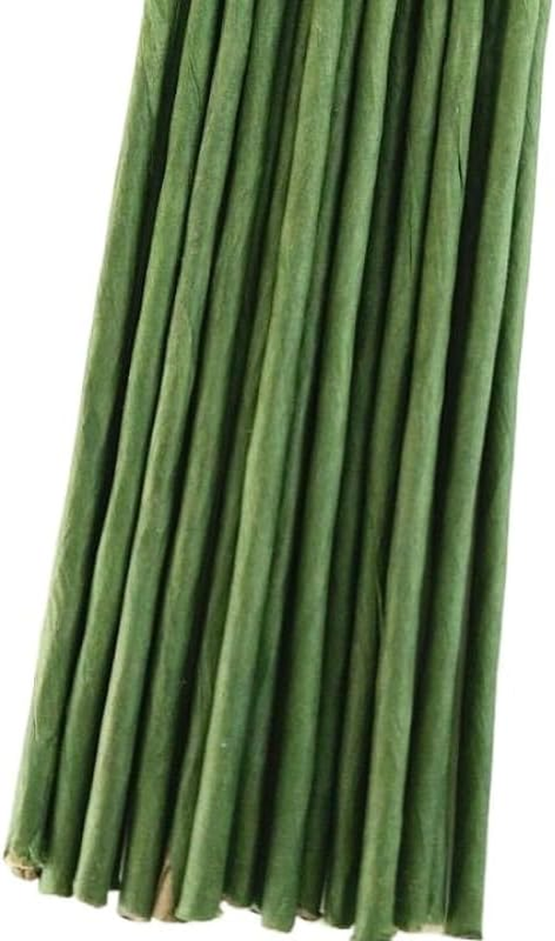 HIGHROCK 100Pcs Floral Wire, 40Cm Floral Stems, Green Flower Wire Wrapped with Paper, for Artificial Flowers, Wreath, DIY Bouquet (3MM)