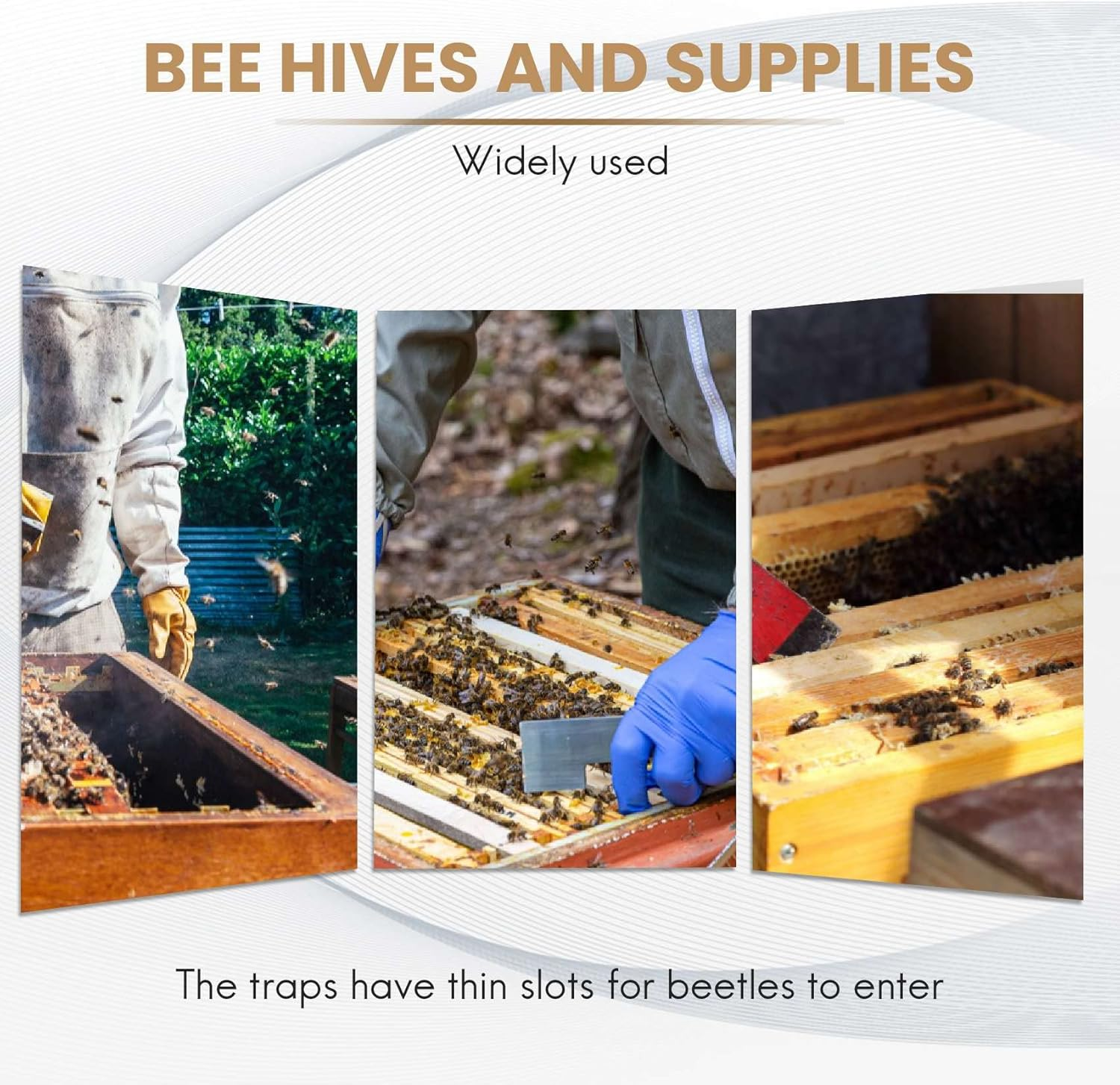 12 Pack - Traps for Naturally Catching Small Hive Beetles Bee Hives without the Use of Any Chemicals Or image number 1