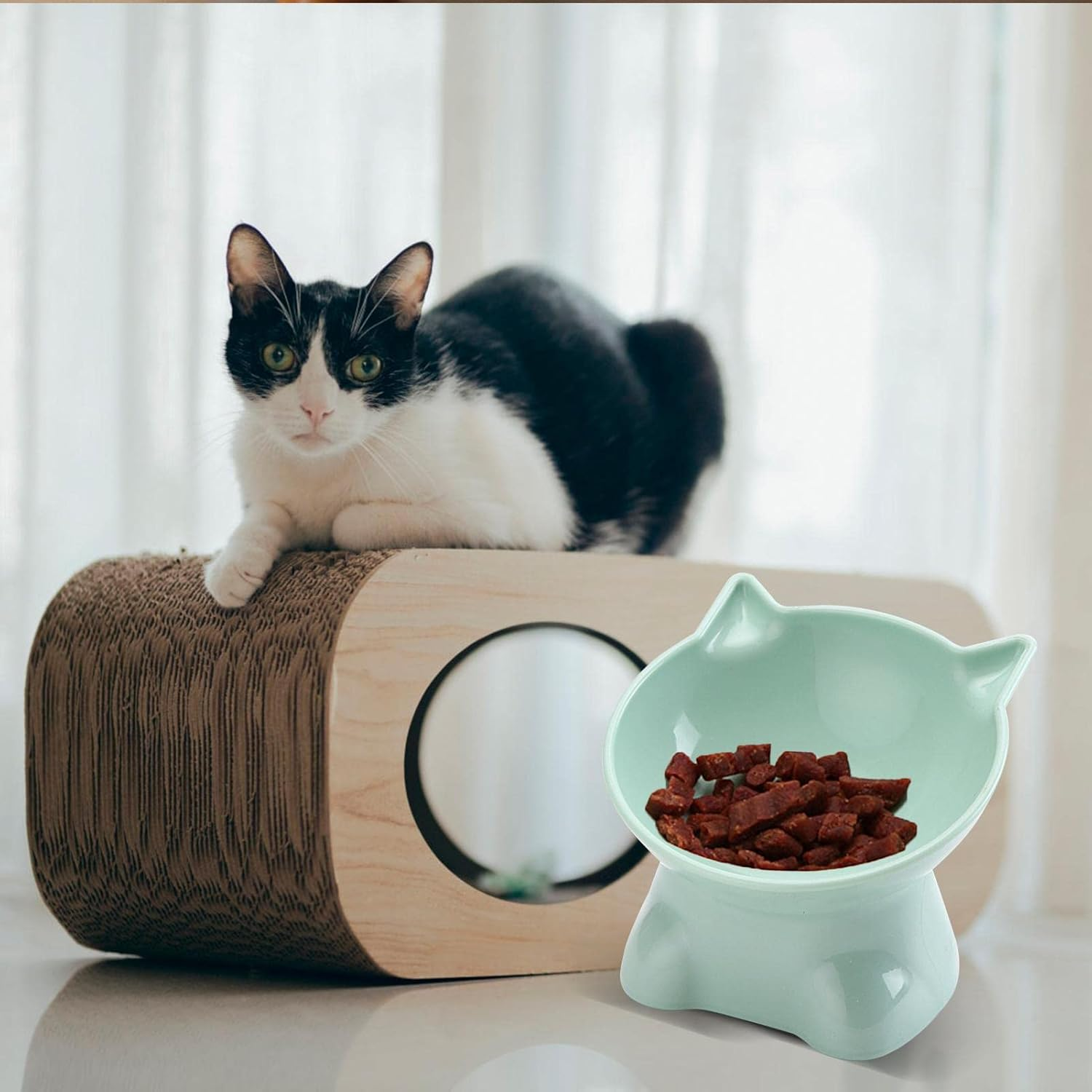 Elevated Cat Bowls | Whisker Friendly 15-Degree Tilt Elevated Cat Food Bowls for Food - 5.31Inch Shallow Raised Cat Dish, Pet Water or Food Feeding Station for Indoor Cats, and Small Dogs, image number 4
