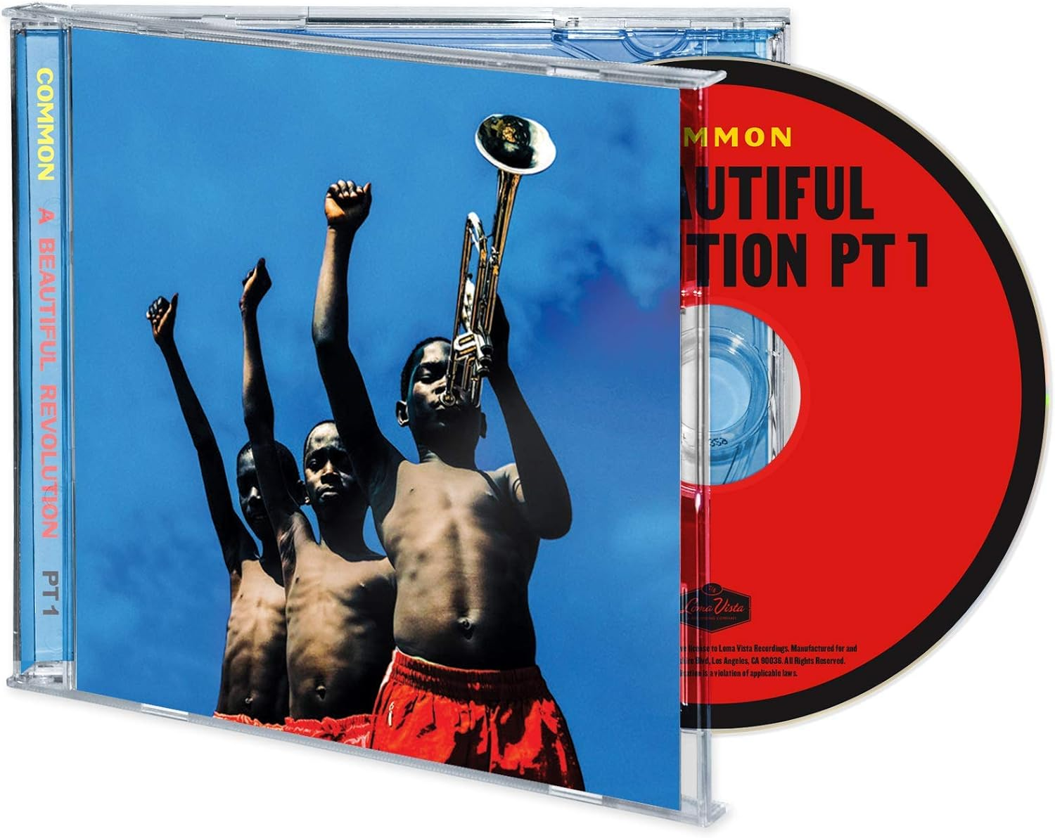 Beautiful Revolution Pt. 1 image number 1