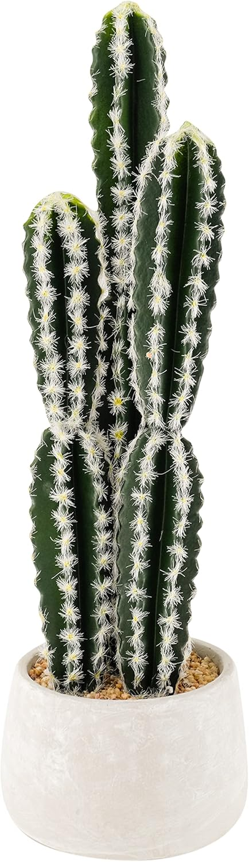 EZY Hedge and Plants 1.97Ft Artificial Cactus Plant Potted Fake Desert Cereus Plants for Home Office Shop Cafe Indoor Bathroom Decor, 60Cm &ndash; Green image number 1