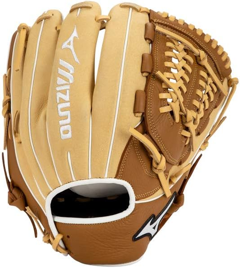 Mizuno Franchise Baseball Glove Series