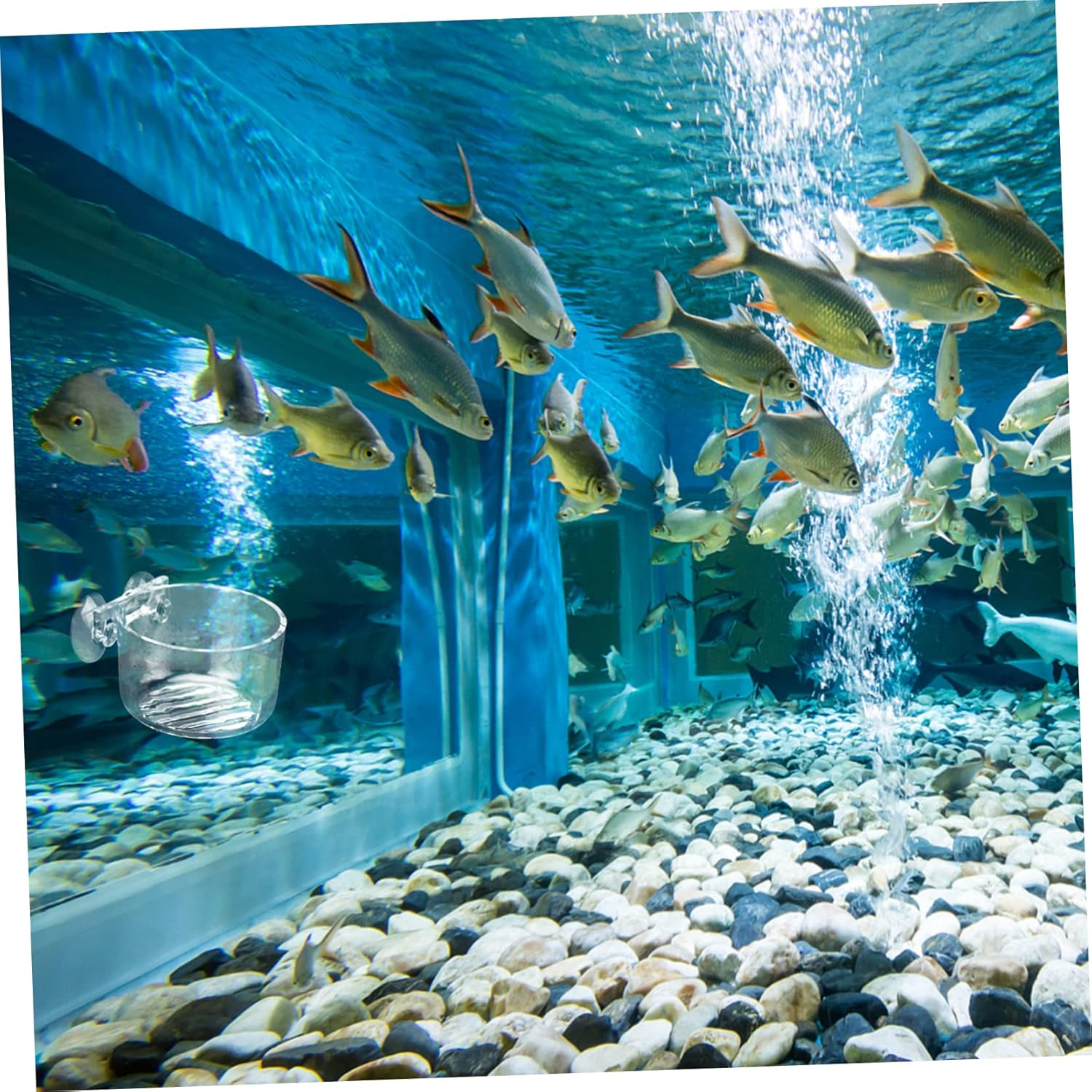 VILLFUL 2Pcs Acrylic Aquarium Feeding Cup Floating Fish Feeder Red Worms Food Holder Fish Tank Aquatic Supplies Automatic PET Feeder Equipment image number 6