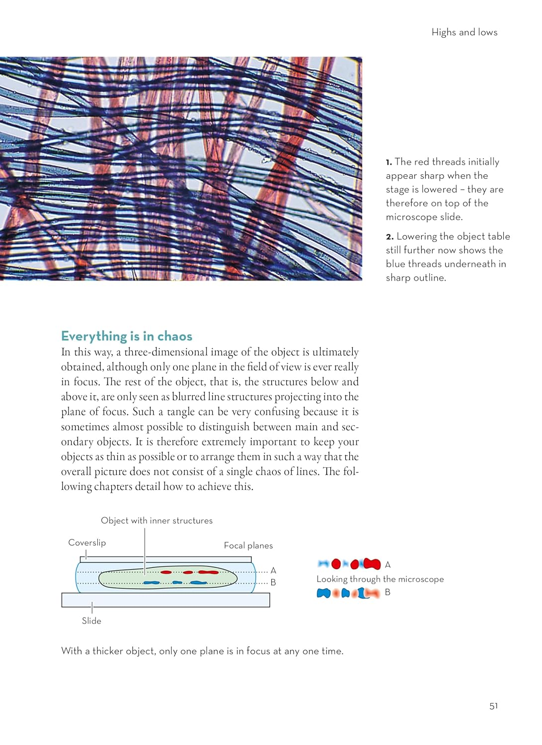 Worlds within Worlds: an Introduction to Microscopes image number 2