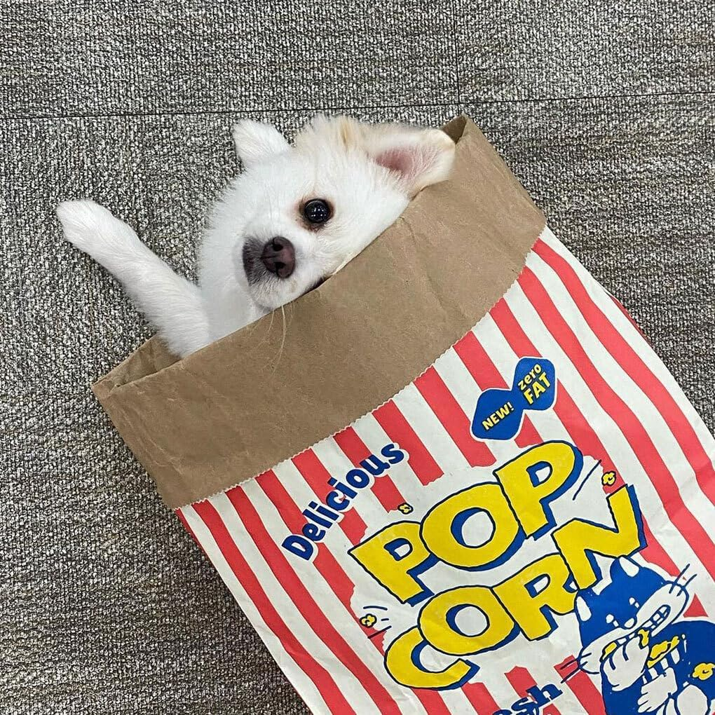 CLSSLVVBN Clean and Lovely Popcorn Paper Bag Cats Seek and Play Activities and Paper Bag Nest Specially Designed for Pets Pet Cat image number 4