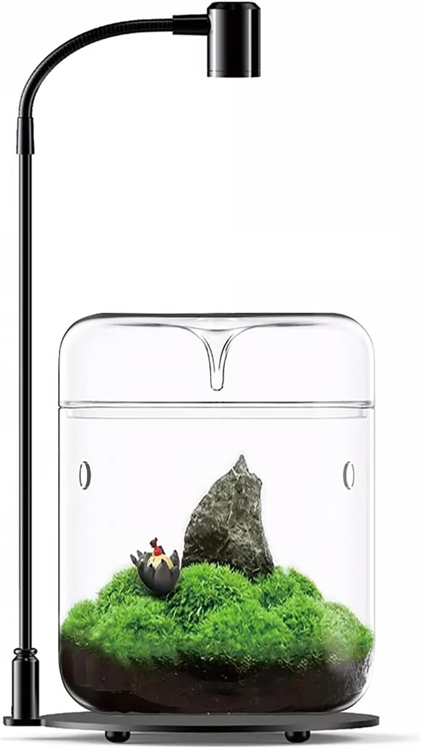 SARUFO Small Glass Plant Terrarium 4.7"X7" Inches Succulent Air Planter Fern Moss Micro-Landscape Vase for Home Garden Office Tabletop Decoration Container with Lid Indoor Wardian Copyright Patent