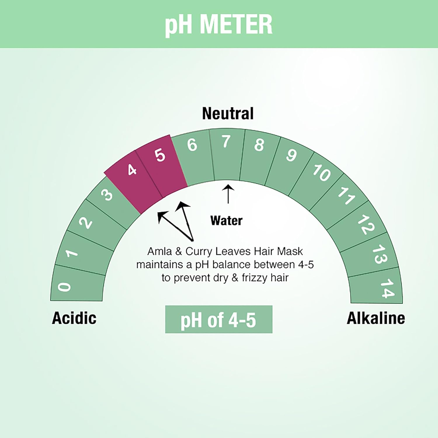 Nykaa Naturals Hair Mask-Anti-Hairfall, Strengthens Hair, Prevents Hair Loss and Thinning, Deep Nourishing-100% Natural Actives, for All Hair Types, Men and Women 200Ml (Amla & Curry Leaves) image number 4