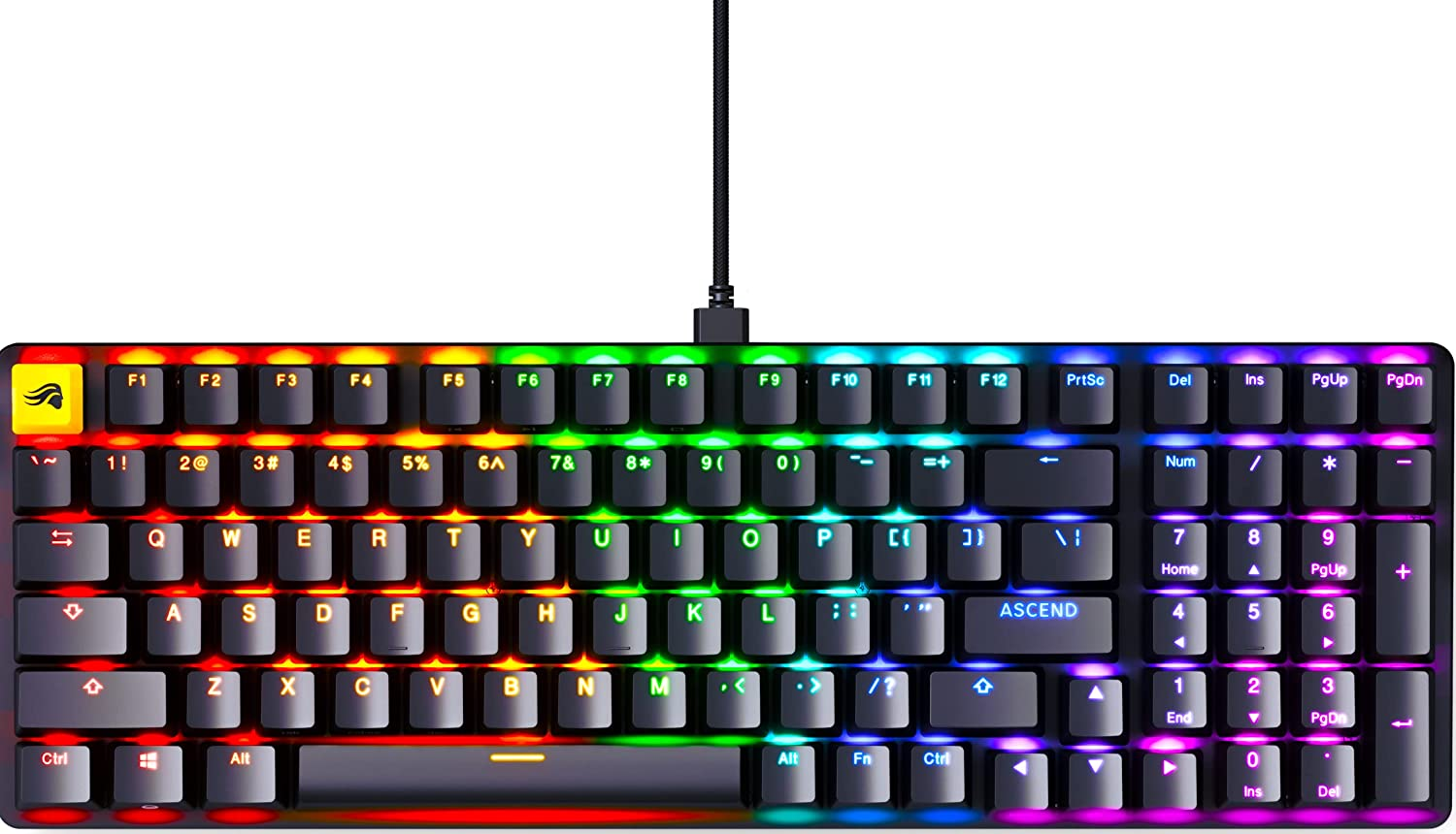 Glorious Gaming Keyboard - GMMK 2 - TKL Hot Swappable Mechanical Keyboard, Red Switches, Wired Keyboard Gaming, Compact - Full Size Keyboard (Black RGB Keyboard)