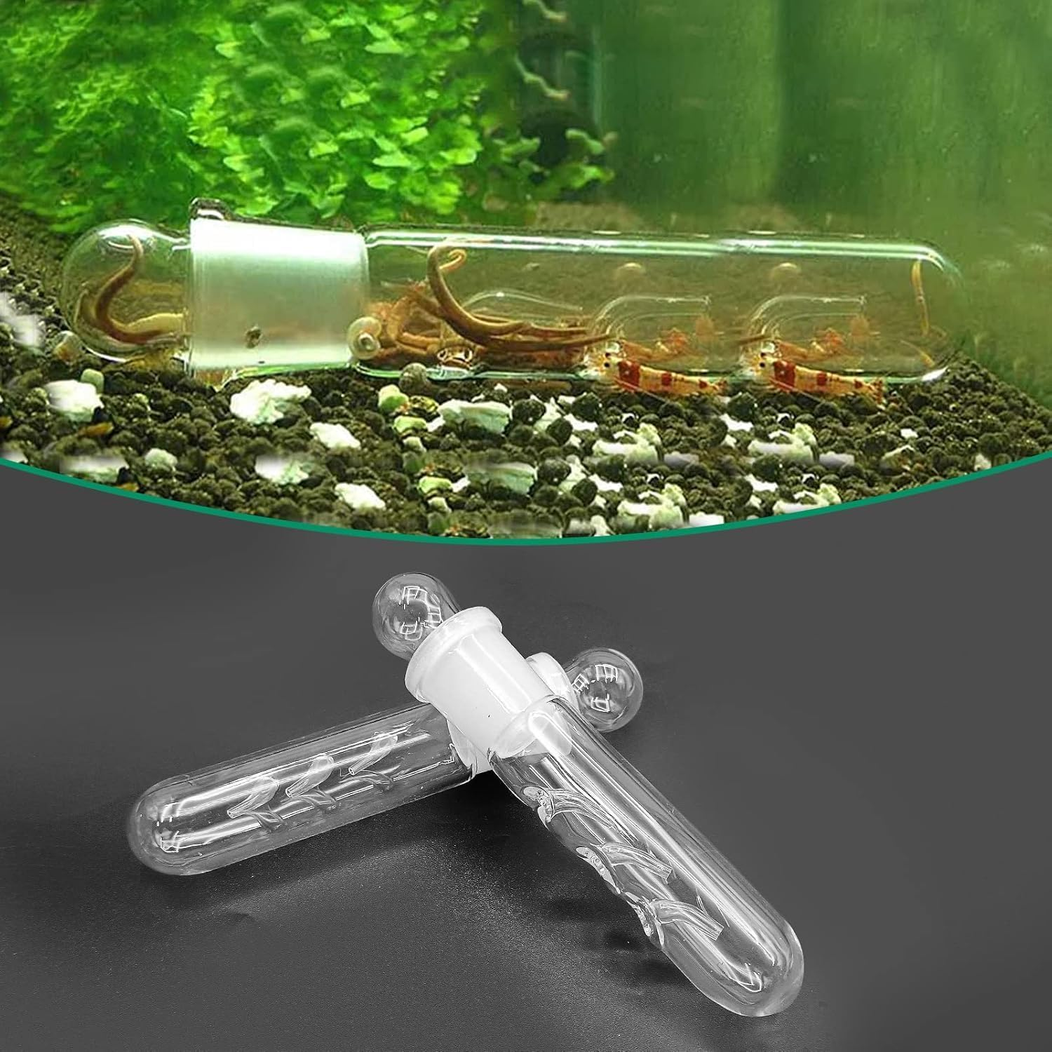 Planaria Aquarium Trap Leeches Catcher, 3Pcs Planaria Trap Shrimp Tank Aquarium Bristle Worm Leech Flatworm, Glass Leech and Bristle Worm Catcher for Shrimp Tank image number 2