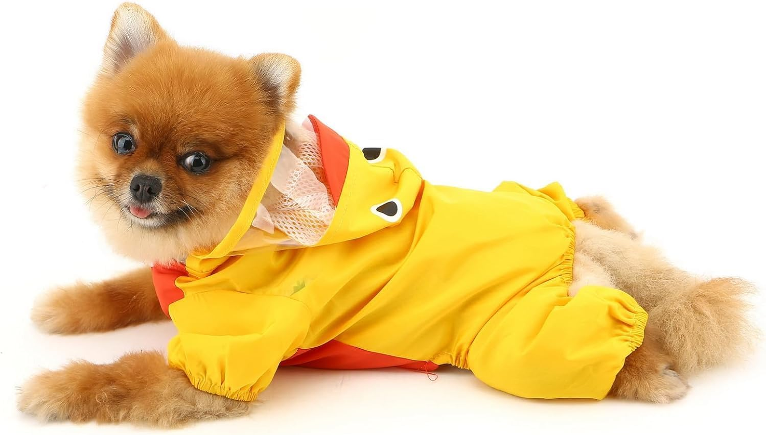 Cute Duck Raincoat for Small Dogs, Rain Jacket with Hooded D-Ring Puppy Bottom, 4 Leg Jumpsuit, Lightweight Waterproof Clothing (Yellow, XS) image number 5