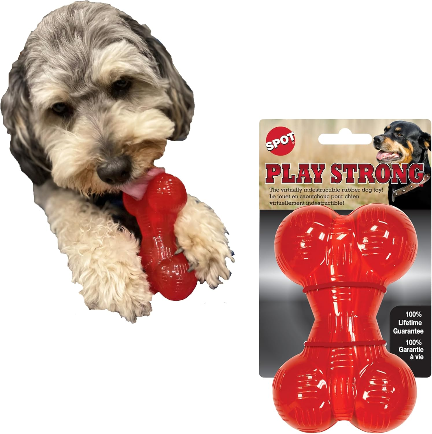 Ethical Pets Play Strong Virtually Indestructible Rubber Bone Dog Toy, 6.5-Inch
