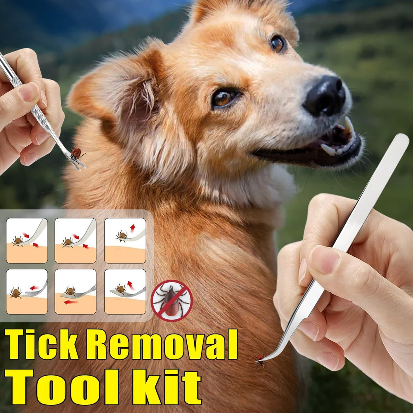 Mrcopetal Tick Remover Tool Kit, Stainless Steel Tick Tweezers + Remover Tick Key, 4 Pack Quick & Safe Tick Twister Removal Tools for Dogs Cats Humans image number 6