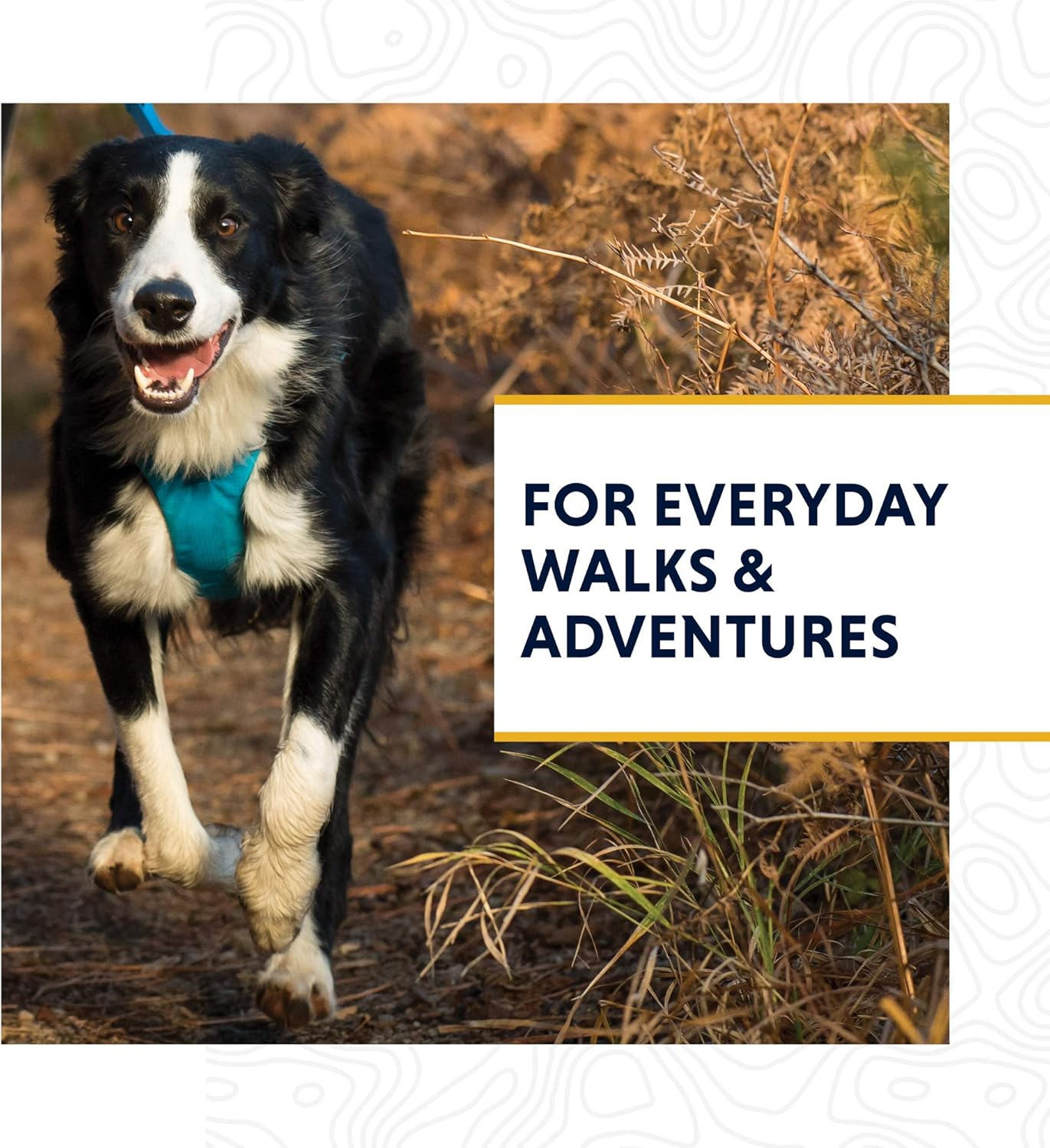 Ruffwear, Front Range Dog Leash, 5 Ft Lead with Padded Handle for Everyday Walking, Wildflower - Mountains Logo image number 7