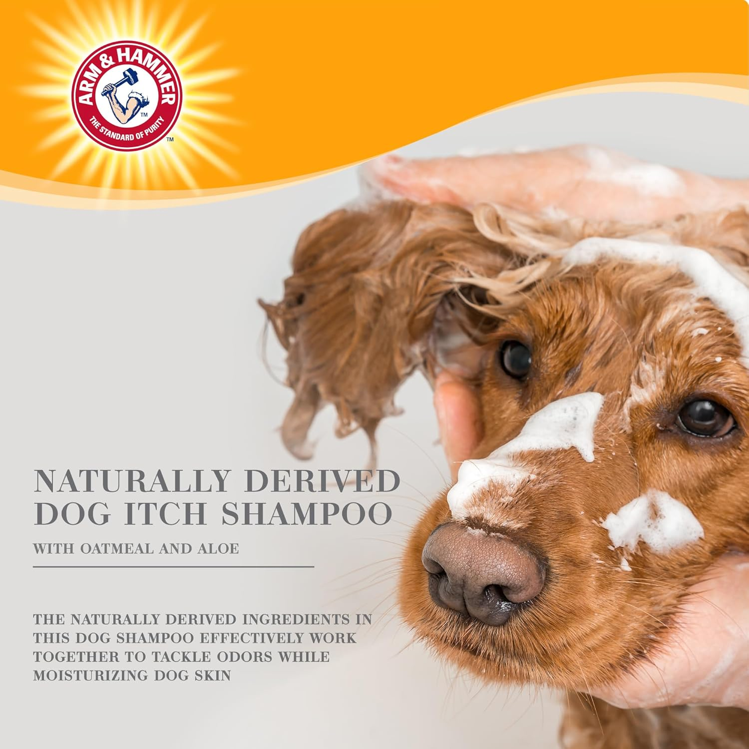 Arm & Hammer Ultra Fresh Itch Relief Shampoo with Oatmeal & Aloe Value Size with Pump 24Oz