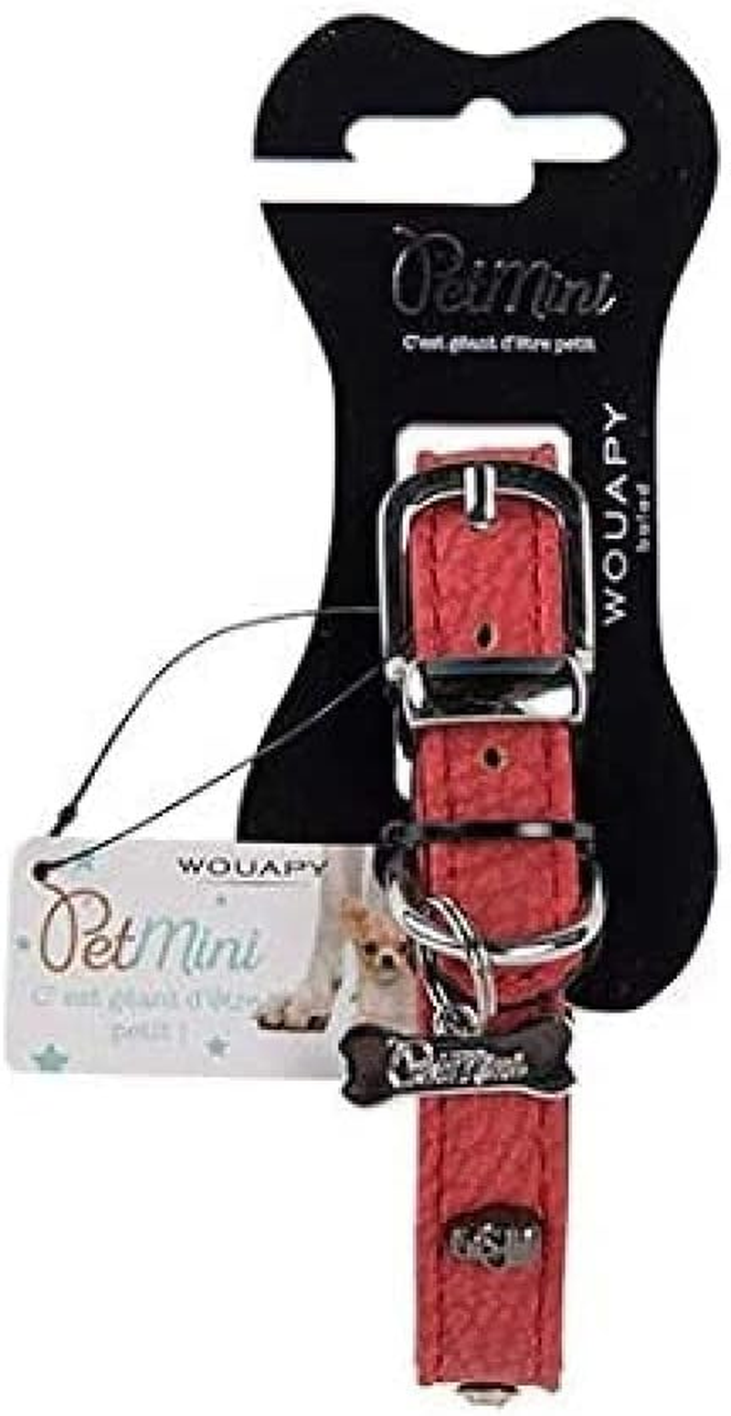 Wouapy Petmini Collar by Wouapy for Little Dogs, Red Leatherette Collar with Matching Skull Rivets, Collar of 15 Mm Width and 30 Cm Length