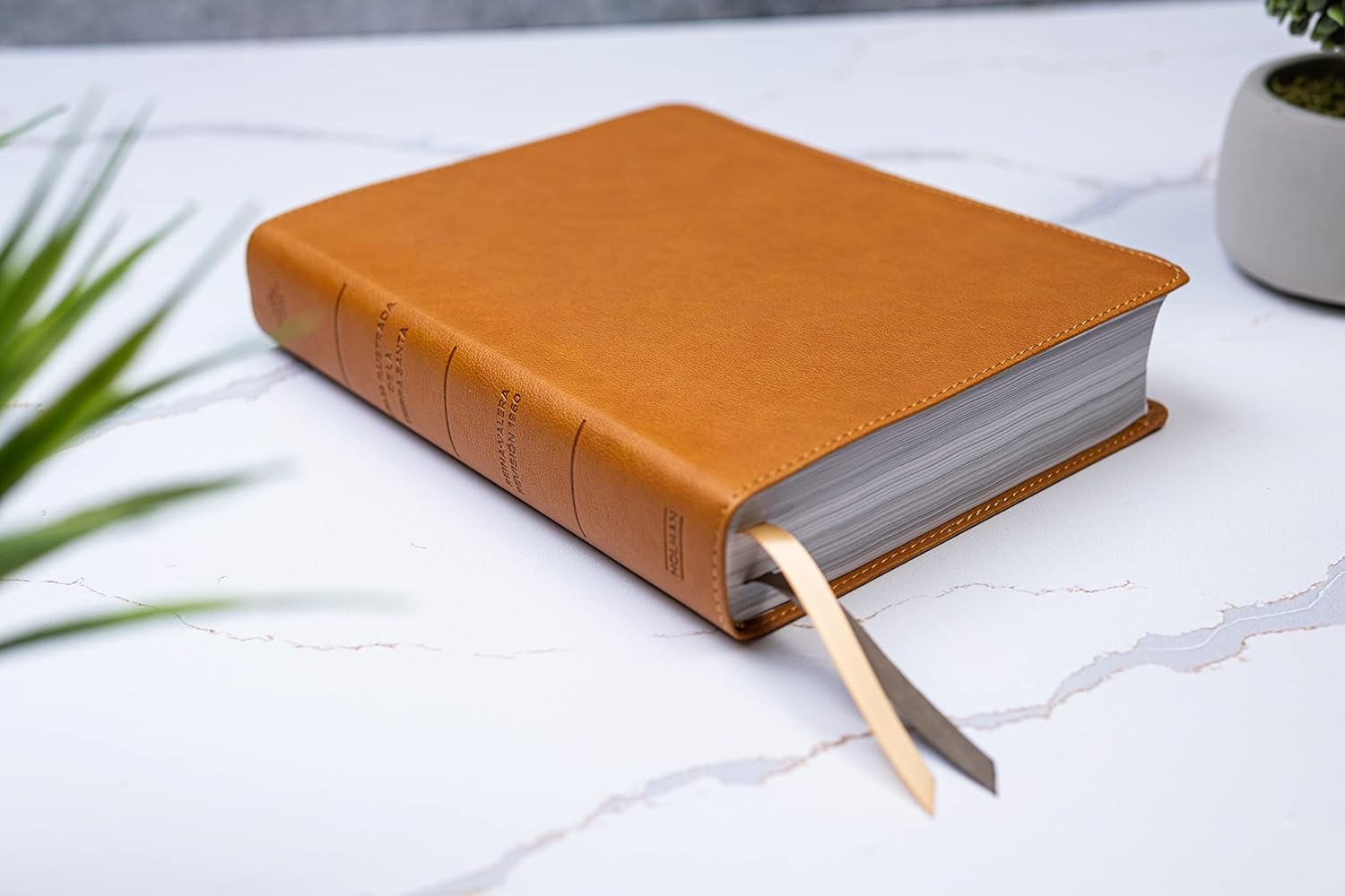 Rvr 1960 Biblia Ilustrada De La Tierra Santa, Caf&eacute; S&iacute;mil Piel Con &Iacute;ndice image number 2