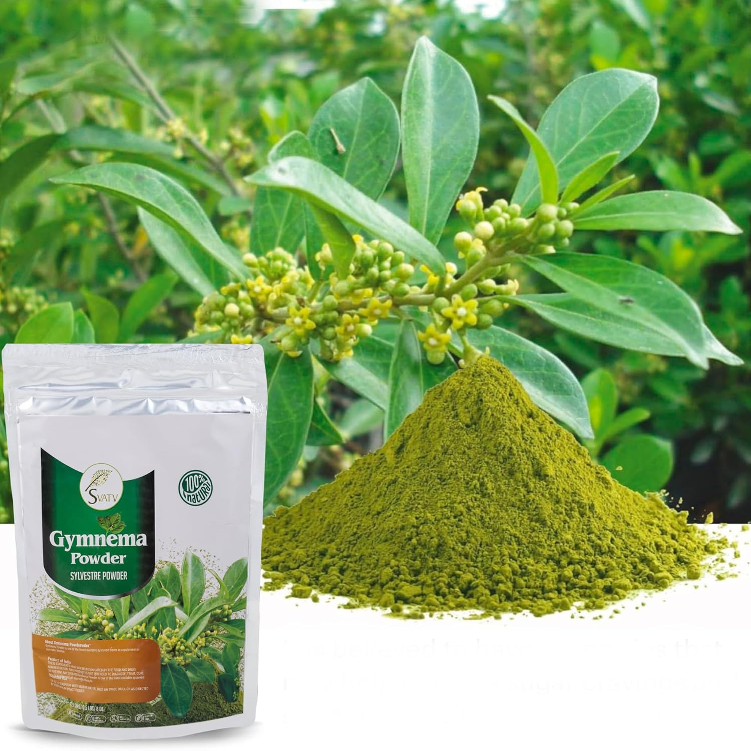 SVATV Gymnema Powder | Gymnema Sylvestre | Gurmar Powder | Meshashringi Powder | 227G, Half Pound image number 6