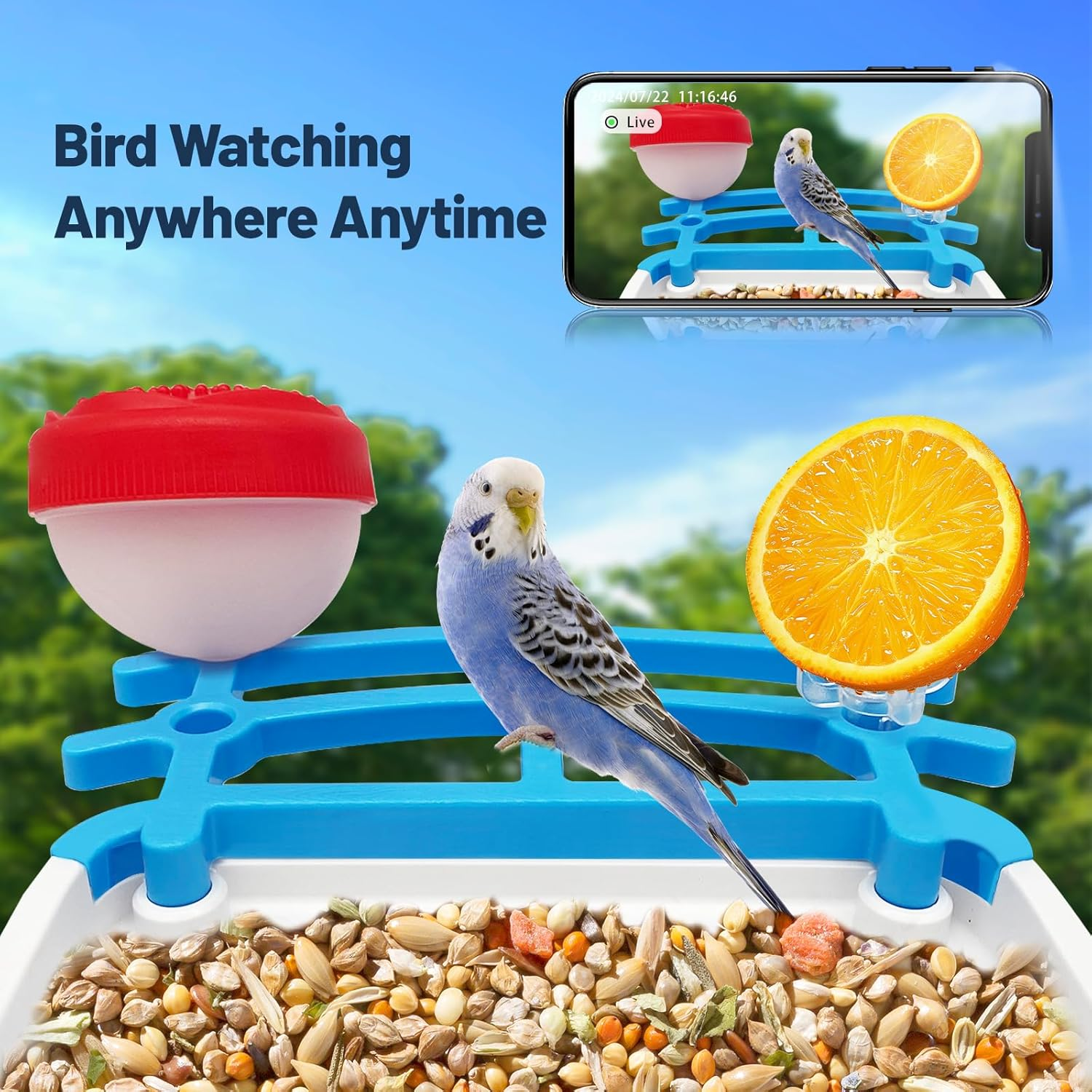 Smart Bird Feeder with Camera, 2.5L 4K HD AI Identification Bird Watching Camera with Solar Powered, Ideal Gift for Mom image number 3