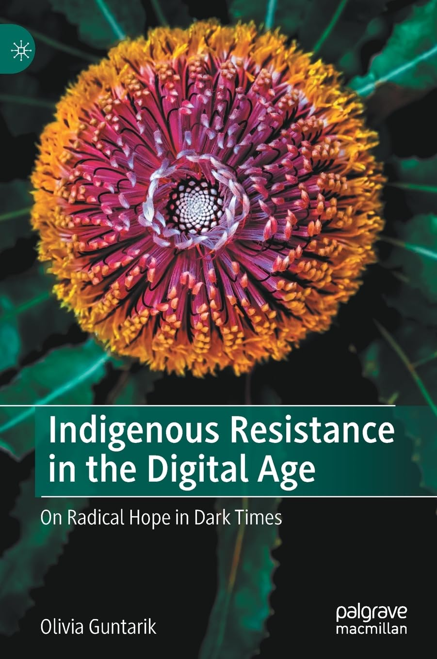 Indigenous Resistance in the Digital Age: on Radical Hope in Dark Times