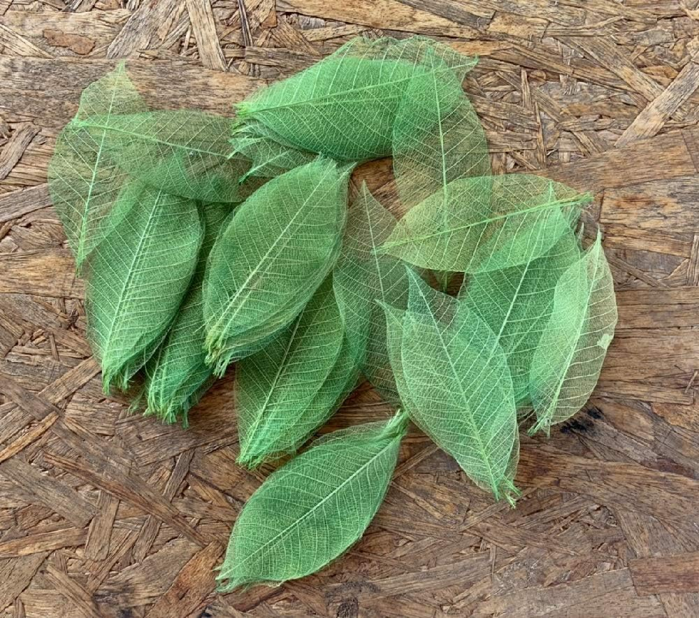 100 Pcs 4-5 Inch Skeleton Leaves Rubber Tree Natural Scrapbooking Craft DIY Card Wedding, Large Leaves (Green Color) image number 2