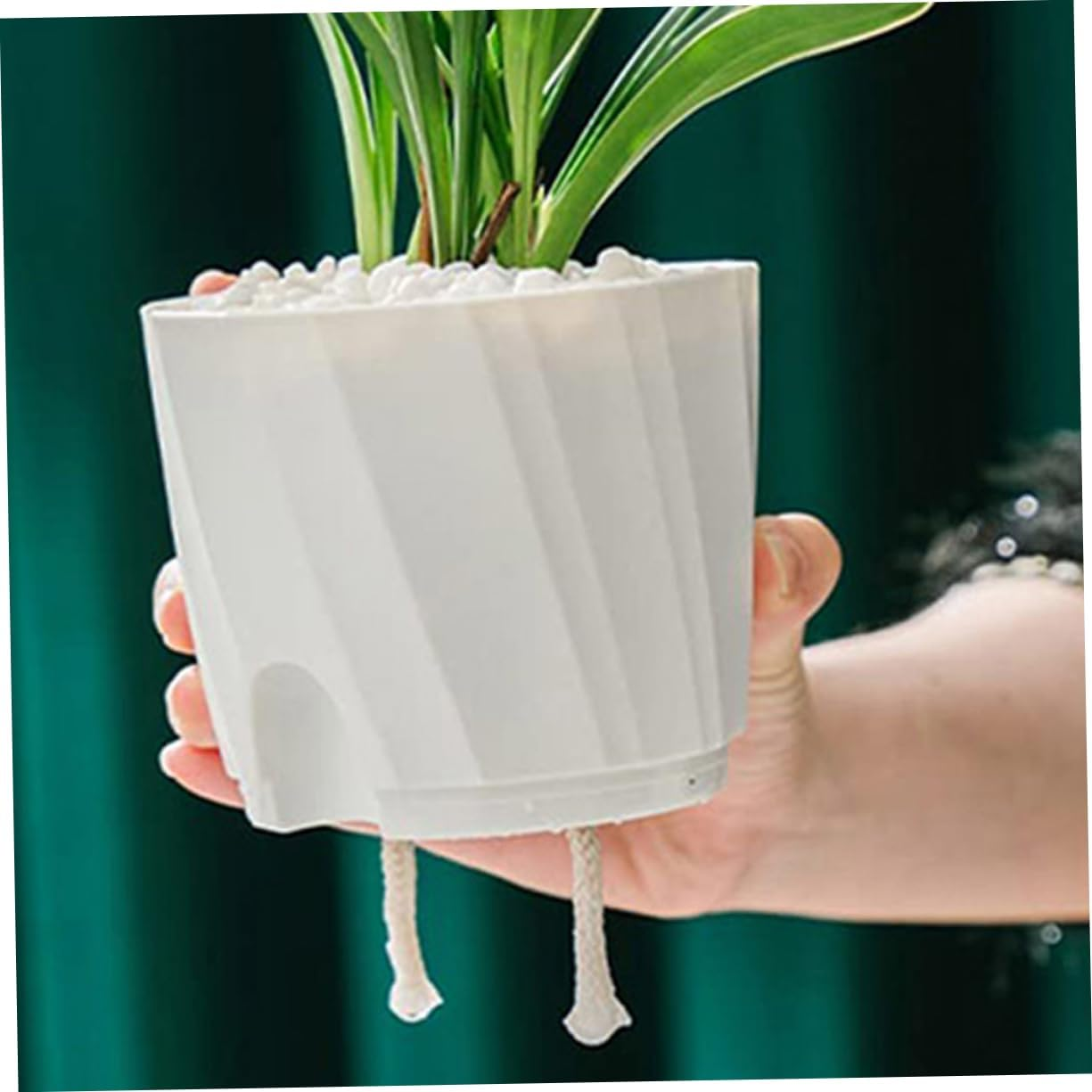 Self Watering Wick Cotton Rope for Potted Plants 10M 8Mm Absorbent Gardening Cord for DIY Self-Watering Planters Outdoor Hydroponic Plant Care image number 5