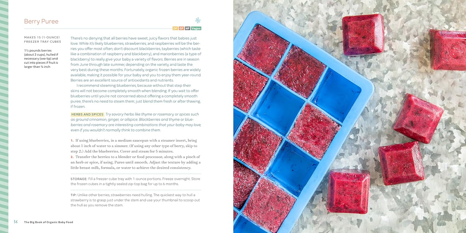 The Big Book of Organic Baby Food: Baby Purees, Finger Foods, and Toddler Meals for Every Stage image number 4