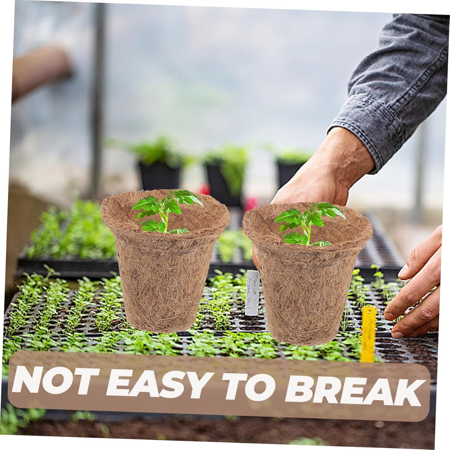 Sosoport Plant Starter Pots 35Pcs Nursery Pots for Direct Planting Germination Growing Pots Fiber for Home Gardening image number 1