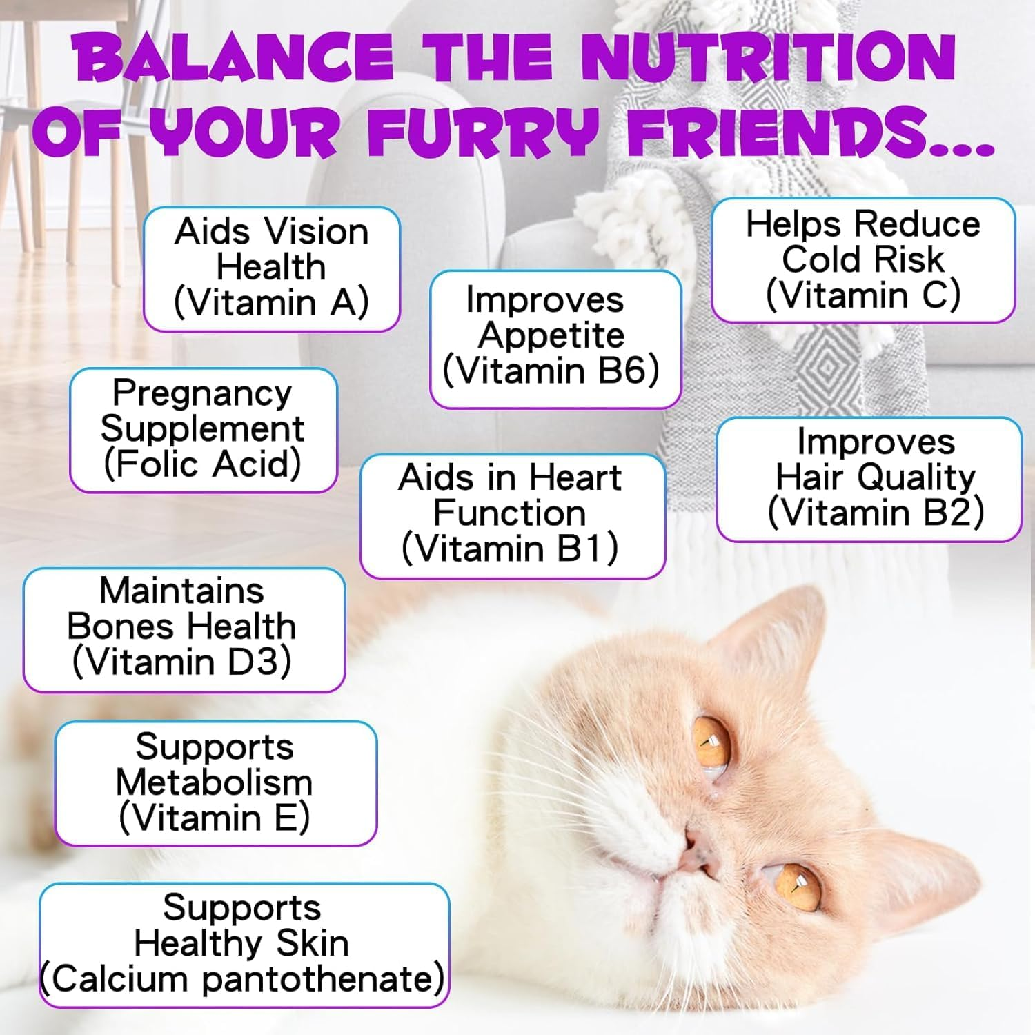 15-In-1 Cat Multivitamin Liquid Drops 60Ml | Supports Joints, Skin & Coat, Immune & Urinary Health | with Cranberry, Glucosamine & Probiotics | image number 6