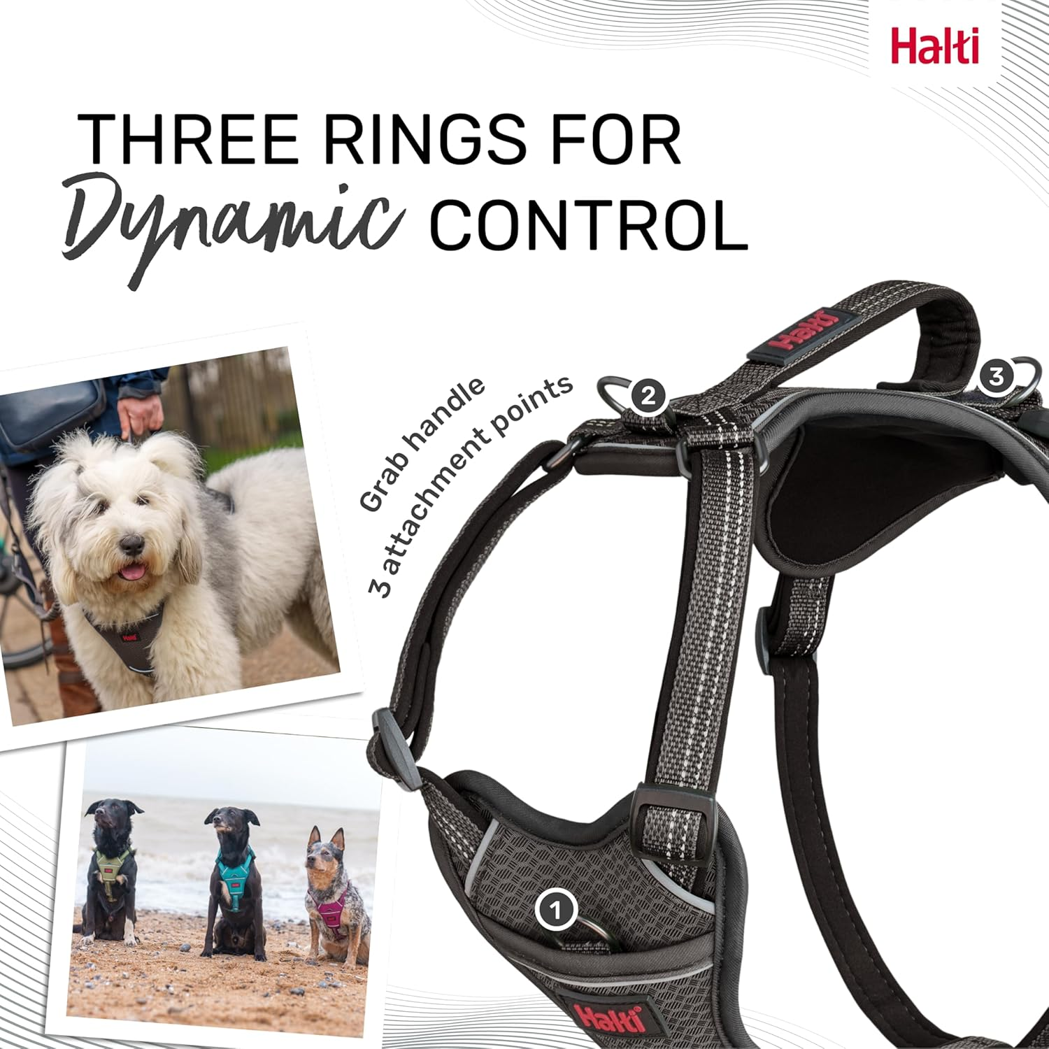 HALTI Anatomy Dog Harness with Handle - Provides Your Dog Freedom of Movement for Comfortable Walking. 3 Lead Attachment Points, Neoprene Padded, Adjustable, and Reflective (Size Large, Grey)