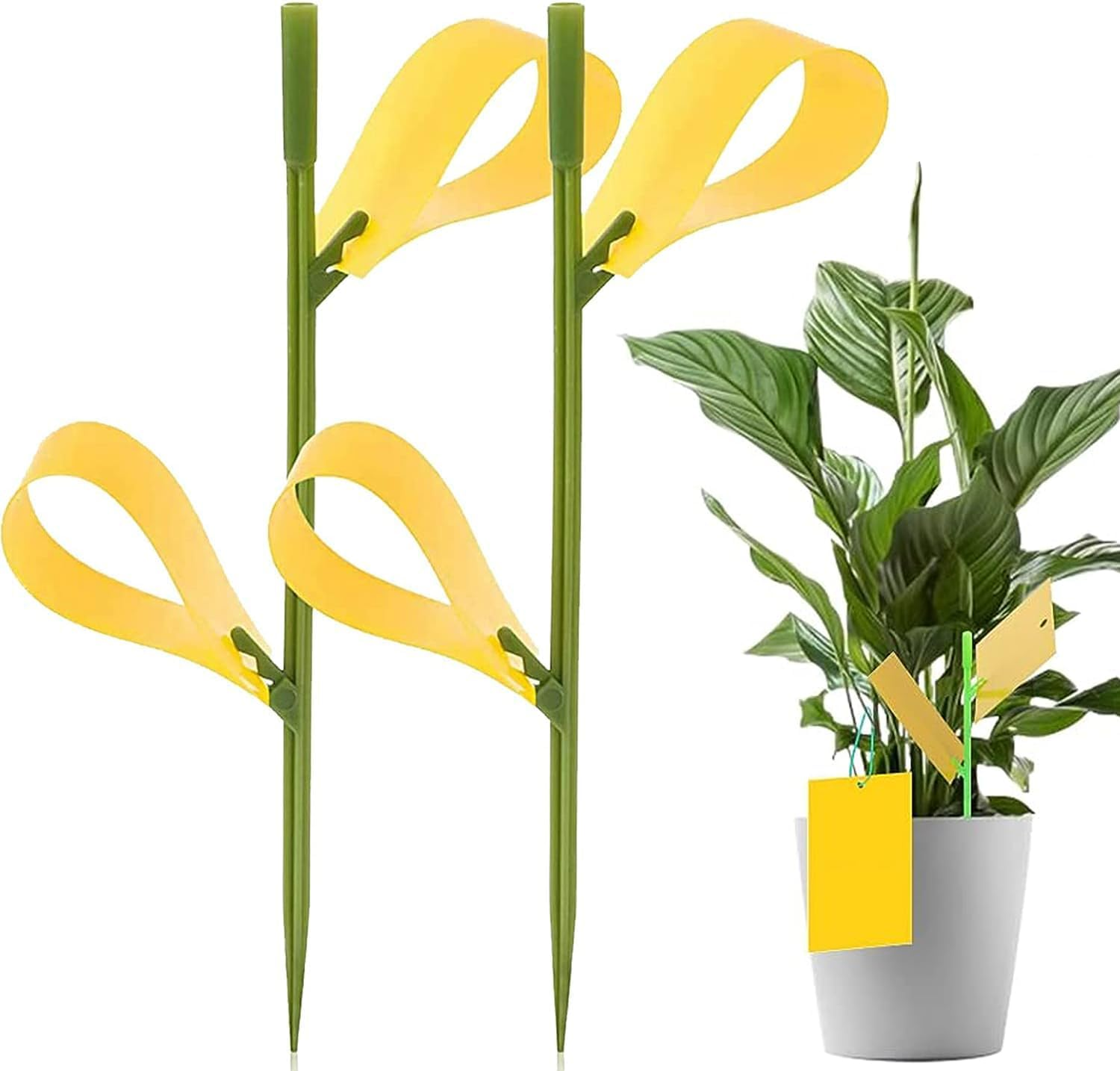 Sticky Traps 40Pcs Fruit Fly Sticky Traps and Fungus Gnat Traps for Plants, Flying Insect Trap Sticky Sticks, Yellow Sticky Insect Traps Disposable Glue Traps for White Flies, Mosquitos, Fungus Gnats image number 2