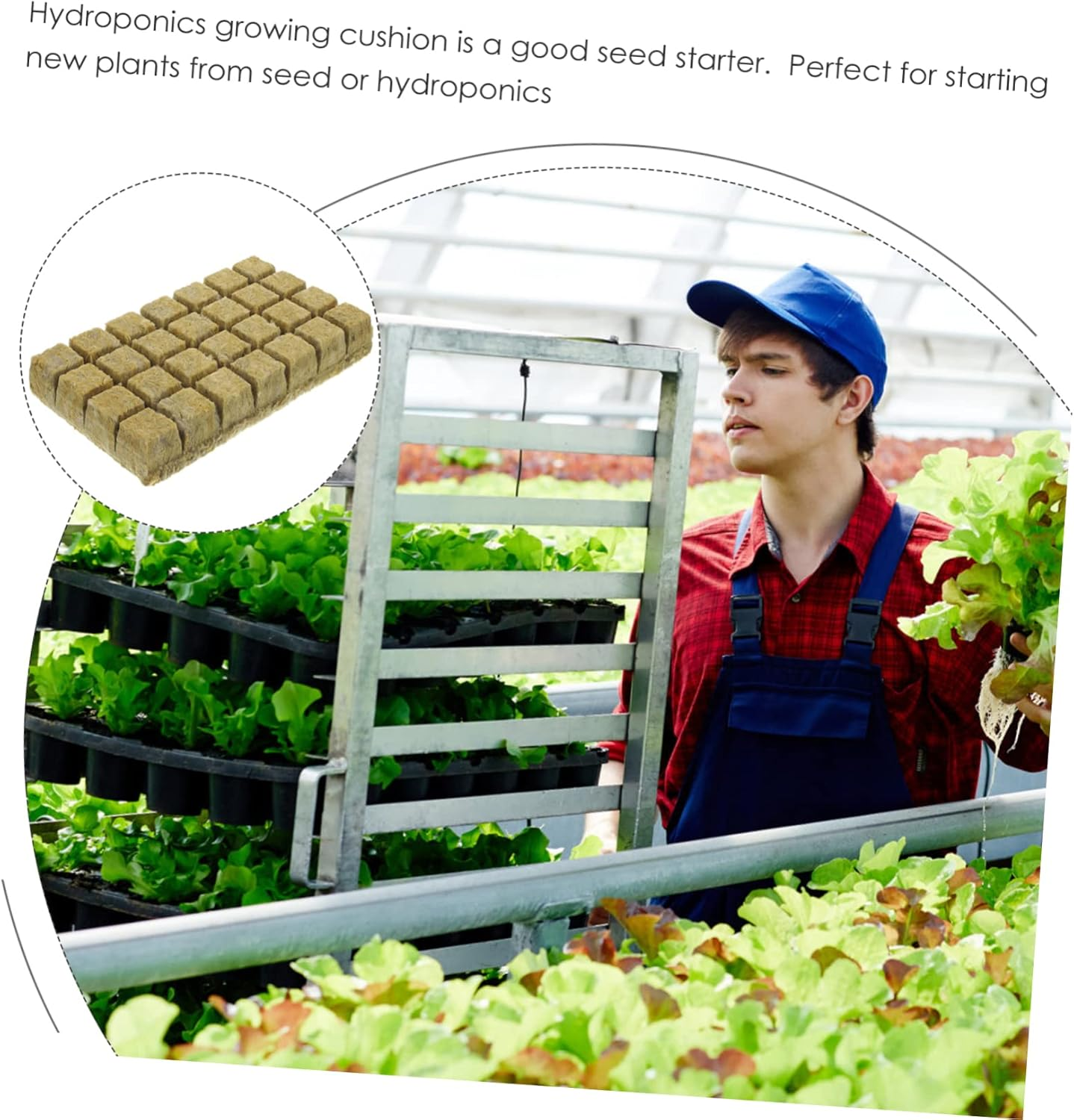 Soilless Cultivation Mineral Wool Starter Plugs Hydroponic Plant Nursery Blocks 36X36X40Mm 28Pcs for Vegetable Propagation and Hydroponics Gardening Accessories