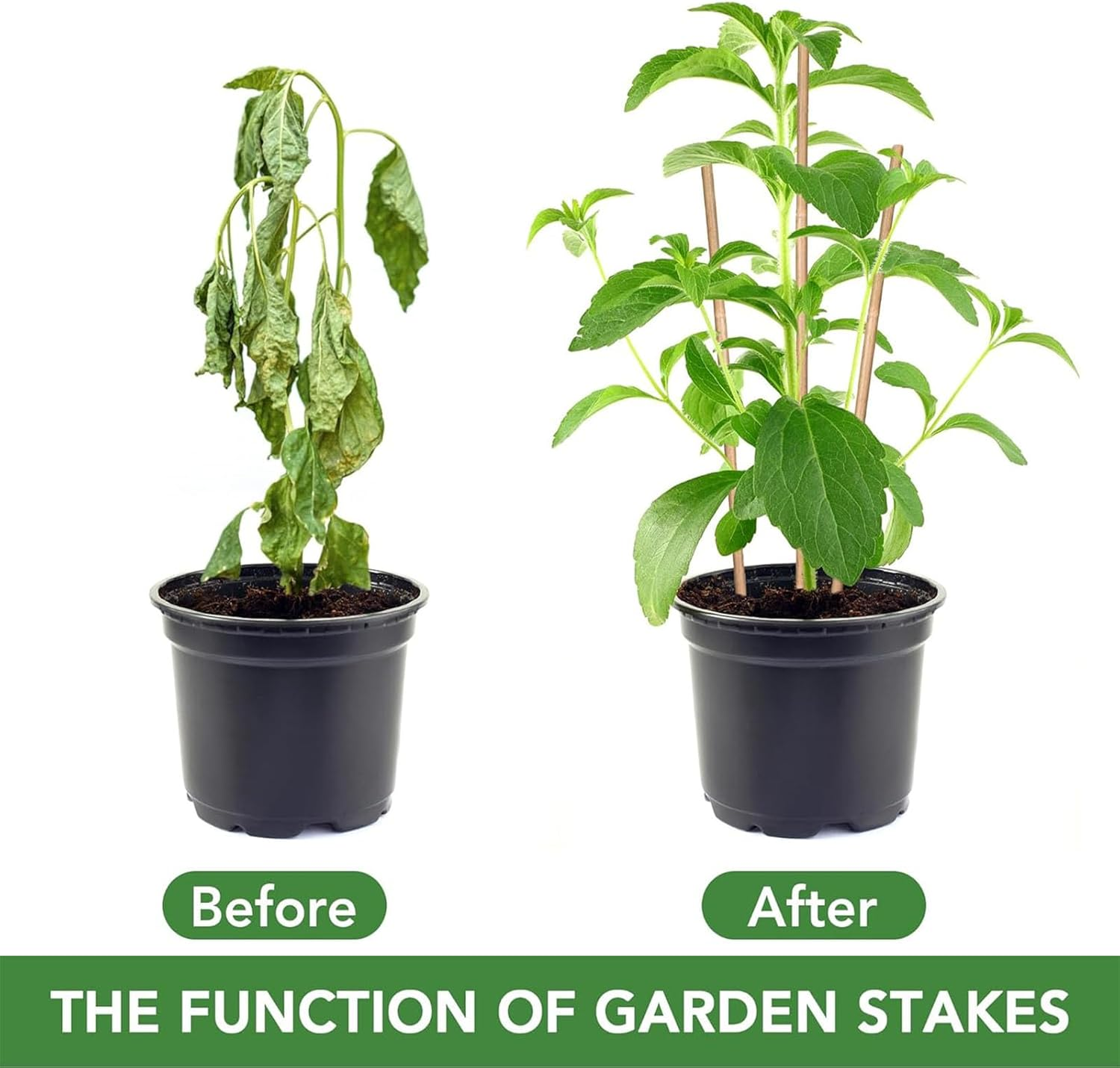 SYGELER Durable Bamboo Stakes for Plant &ndash; 20 Pack of 45CM Sturdy Bamboo Plant Sticks with 20 Twist Ties for Support &ndash; Ideal for Tomatoes, Beans, Flowers, Potted Plants image number 4