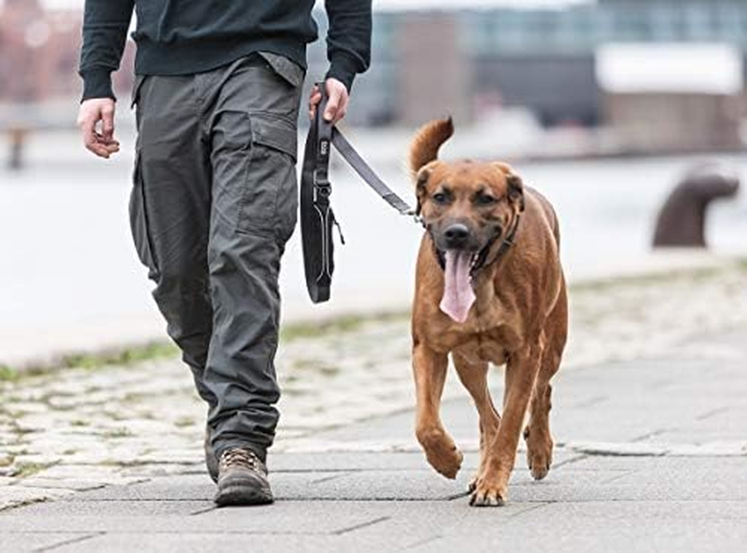 DOG Copenhagen Urban Trail Lead, Brown, Large image number 6