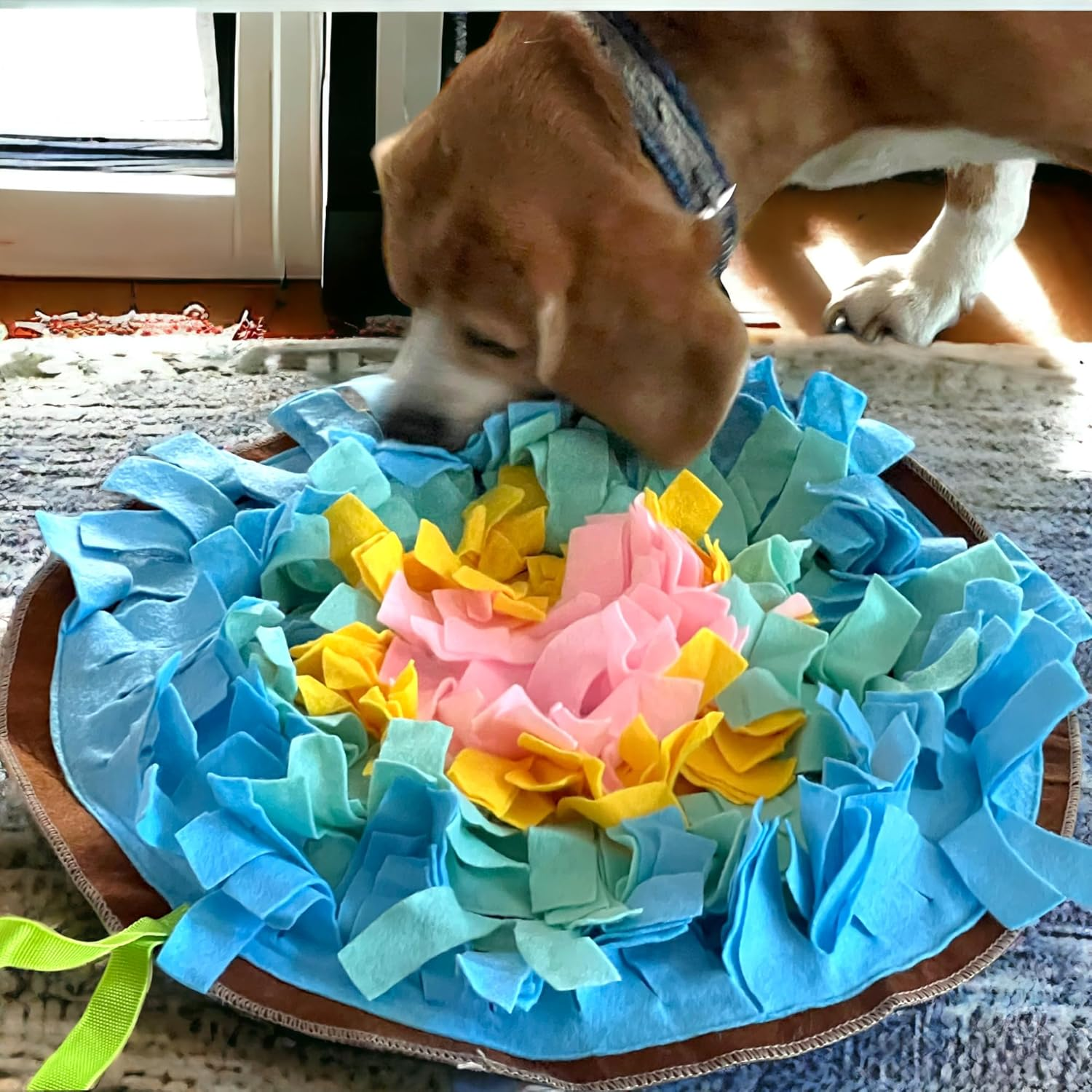 MIJOMA round Snuffle Mat for Dogs - Diameter 45 Cm Treat Rug & Dog Training Mat, Feeding Mat for Puppies, Non-Slip Silicone Nubs, Portable & Rollable Design, 8 Cm Long Felt Strips image number 2