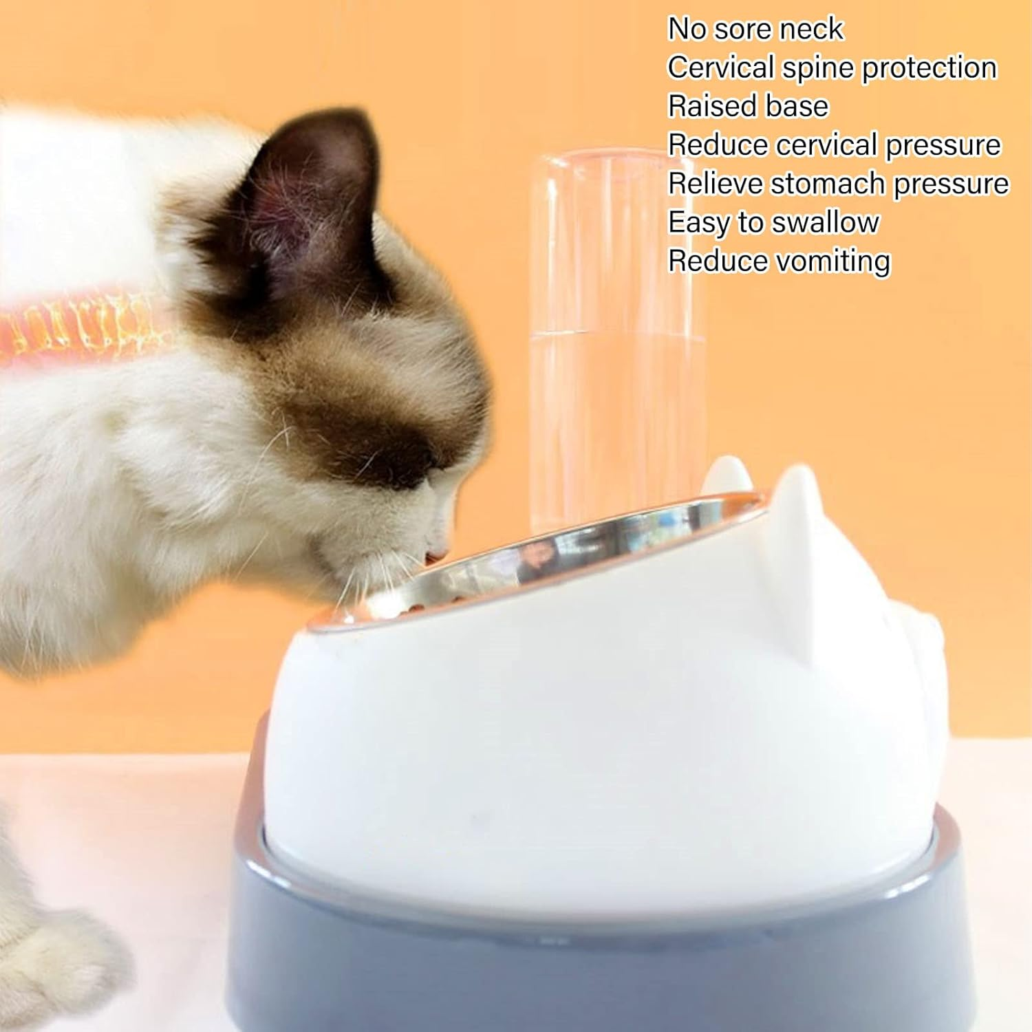 Cat Food Bowl, Removable, Tilted Food Grade 304 Stainless Steel with Inclined Base, 200 Ml Capacity, Elevated, Tilting Feeding Bowl For image number 2