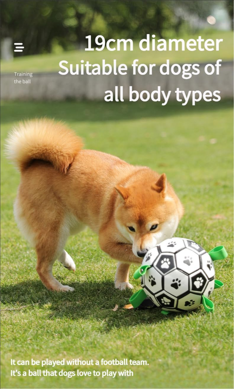 Ultimate Fun with Interactive Dog Balls - Perfect Toys for All Dogs! image number 1
