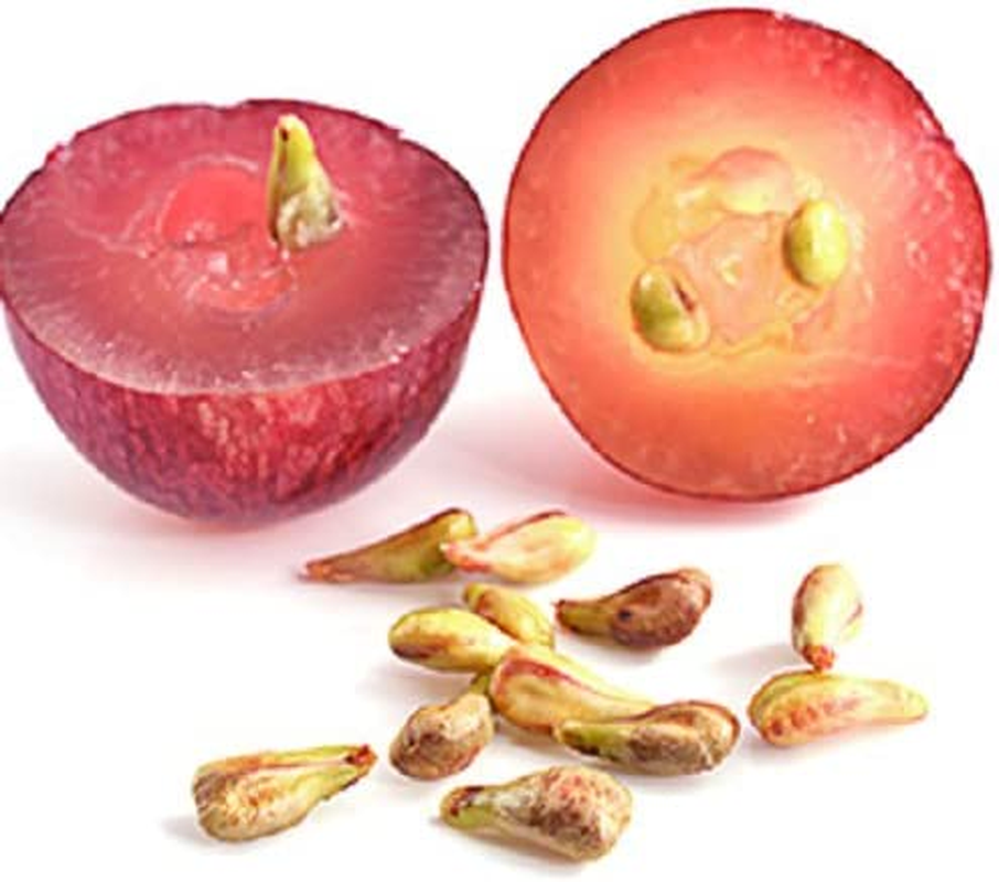 Simple Solution Chew Stopper, 500Ml - Discourages Unwanted Chewing, Bitter-Tasting Formula, Safe for Use on Furniture and Surfaces, Helps Protect Hot Spots and Stitches - Best for Puppies and Adult Pets image number 4