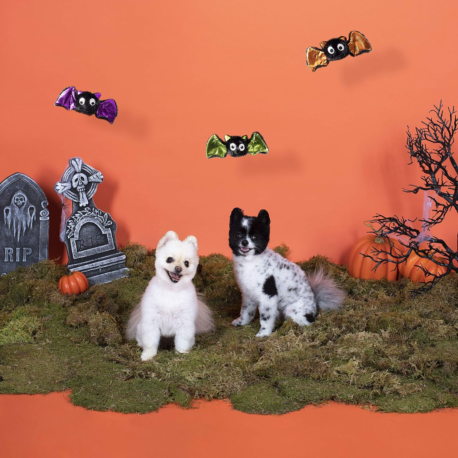 Fringe Studio Mini Dog Toy Set, Bats Bats Bats, Set of 3 (289453) image number 6