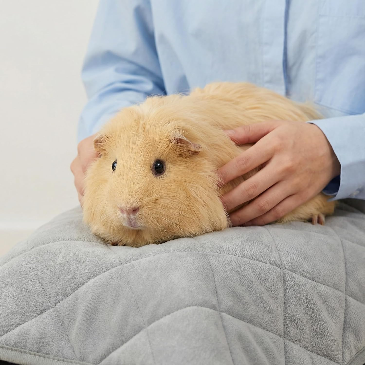 Guinea Pig Fleece Cage Liner, 2Pack 31X16In Guinea Pig Bedding for C&C 2X1 Cage , Super Absorbent & Odor Control & Washable & Reusable Guinea Pig Liner, Pee Pad Mat for Small Animal, Rabbit, Bunny image number 6