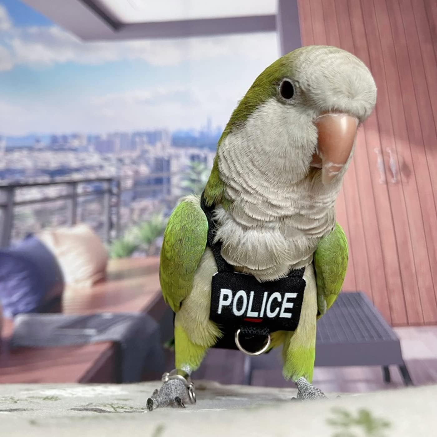 Bird Diaper Harness Flight Suit Clothes, Parrot Flight Suit with Leash for Parrot, Bird Flying Clothes with Rope and Handle for Outdoor Activities Training (With Leash - Xx-Large) image number 4