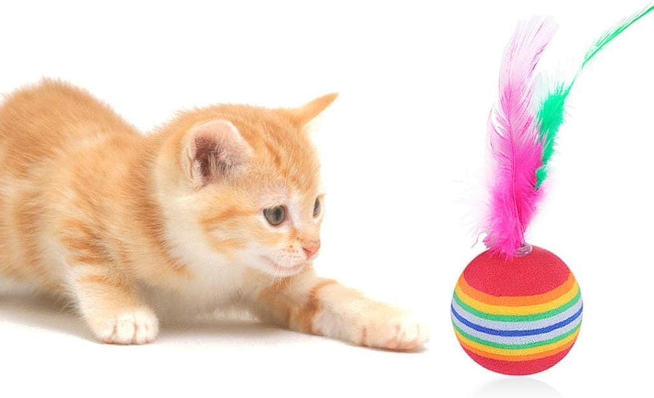 Pack of 6Pcs Cat Balls Soft EVA Foam with Feathers Colorful Rainbow Balls Interactive Kitten Cats Small Dogs Puppies Doggies Quiet Indoor Outdoor Play Activity Chase Training image number 5