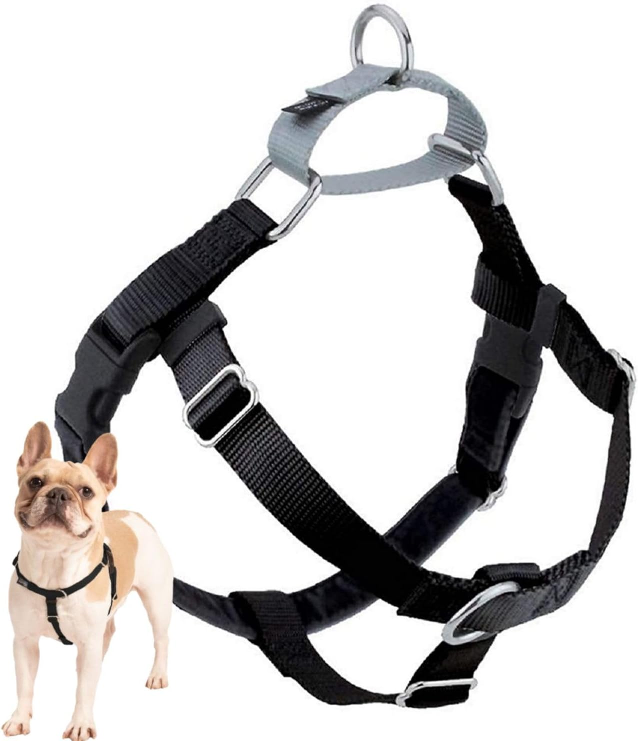 2 Hounds Design Freedom No Pull Dog Harness, Adjustable Harness, Easy Walking & Comfortable Control, Fits Small, Medium & Large Dogs, Solid Colors, Made in USA, 1" XL, Royal Blue