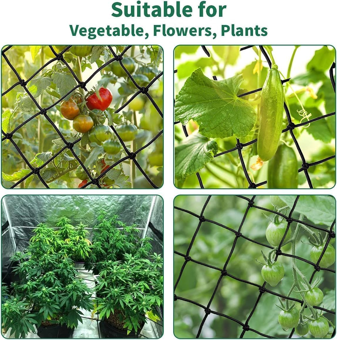 2X2 Trellis Net for Grow Tent, Flexible Grow Tent Netting Small Squares, 4 Pack Elastic Trellis Netting Plant Net Scrog Support with Hooks for Grow Tents image number 4