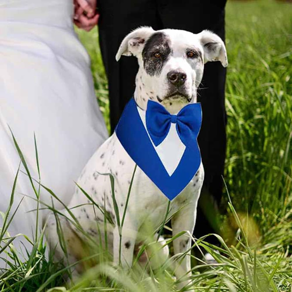 VENEKA Dog,Formal Dog Wedding Collar with Bow Tie,Dog Birthday Costume Pet,Dog Valentines Outfit Cosplay,S Blue High Guality image number 2