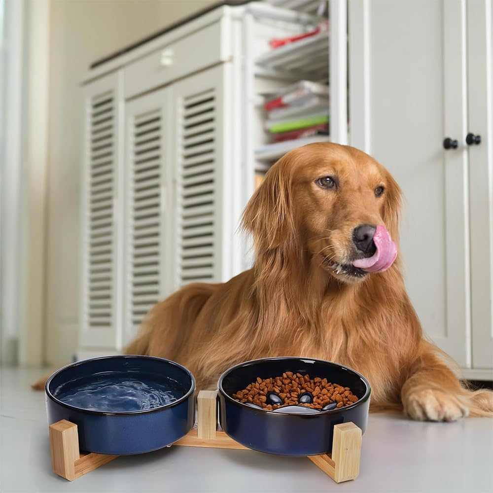 HYAVIA Ceramic Dog Bowl Set with Wooden Stand &ndash; 450 ML Non-Slip Food & Water Bowls for Small and Medium Dogs & Cats, Matte Glaze, Raised Slow Feeder Dish to Prevent Choking (Blue) image number 1