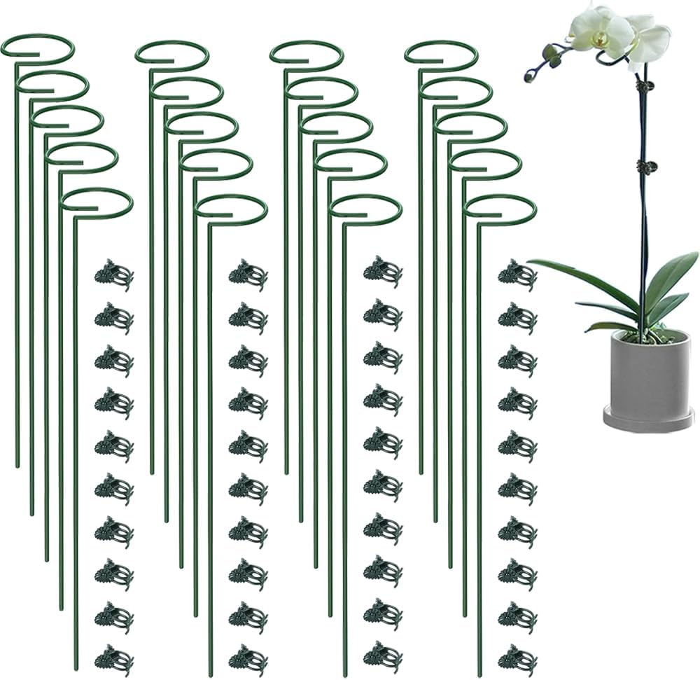 20 Pack 13.8 Inch Green Metal Single Stem Flower Garden Plant Support with 40Pcs Plants Clips, Plant Cage Support Ring for Amaryllis Orchid Peony Rose Tomato image number 5
